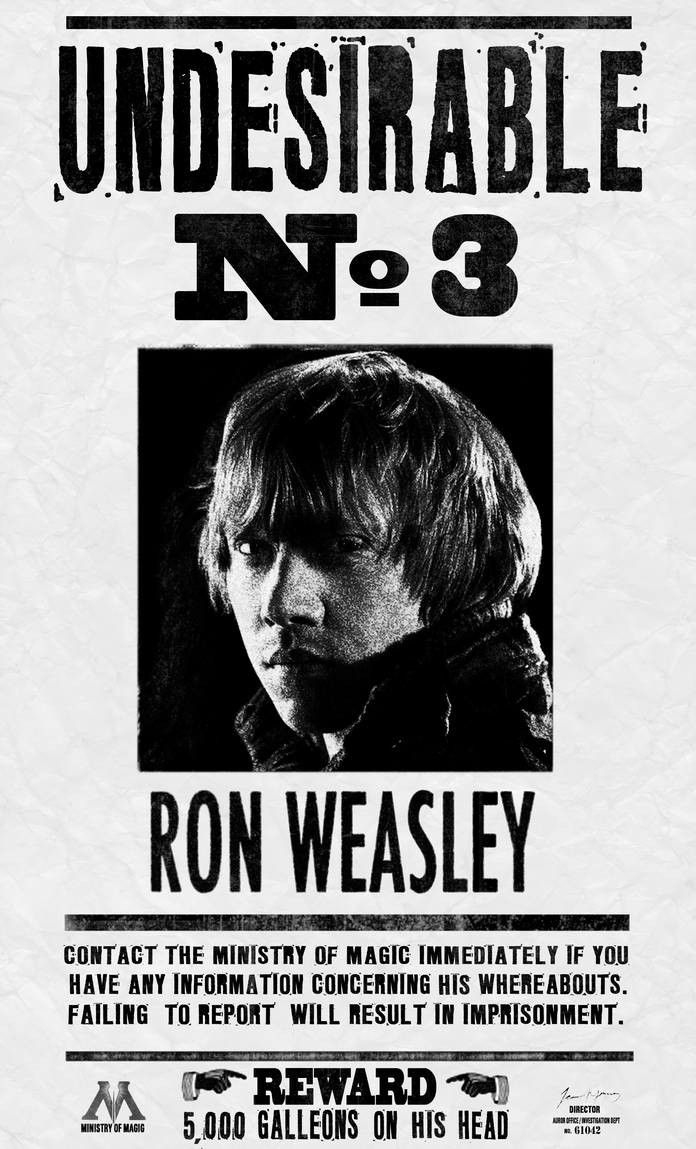 Indésirable No 3 inside Harry Potter Wanted Posters Printable Free