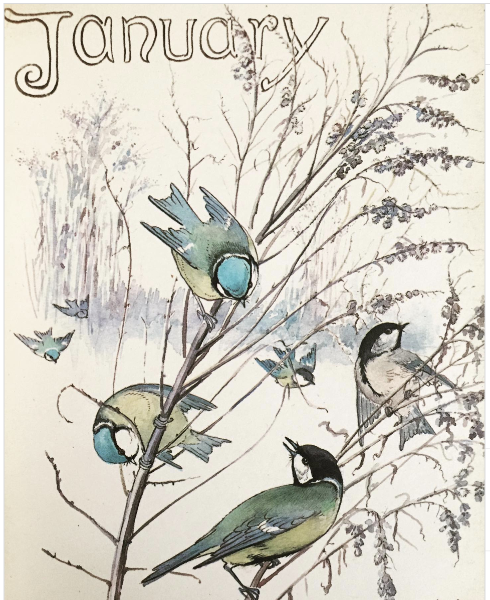 Looking At January Through The Country Diary Of Edith Holden - An for Edith Holden Free Printables
