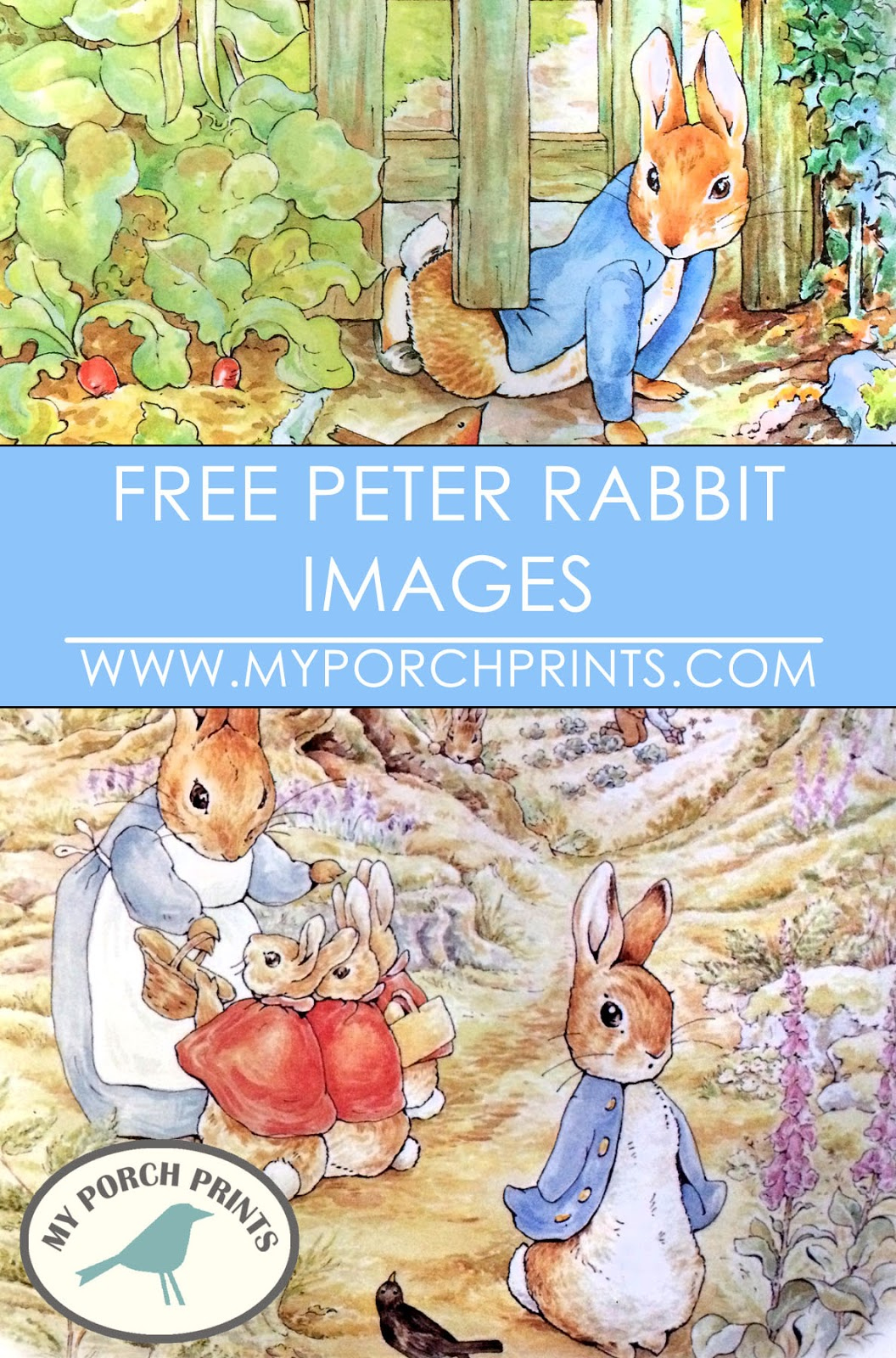 My Porch Prints: Freebie Friday - Peter Rabbit Images throughout Peter Rabbit Free Printables