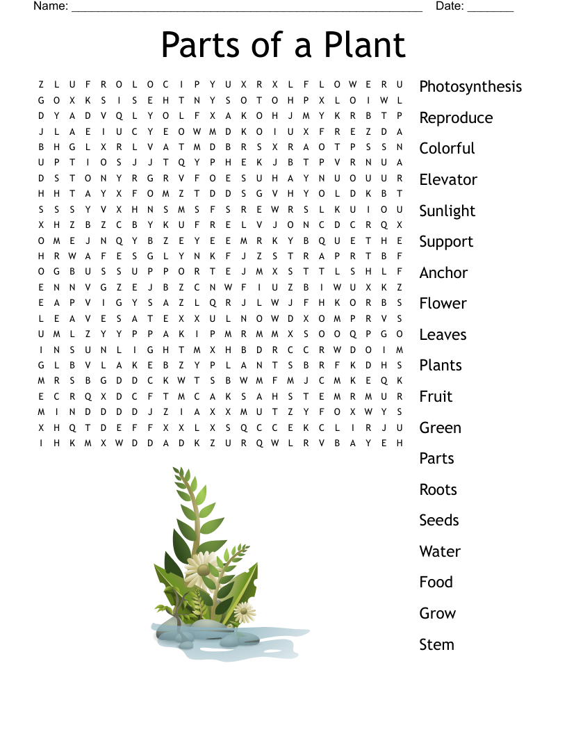 Parts Of A Plant Word Search - Wordmint throughout Plant Word Search Printable