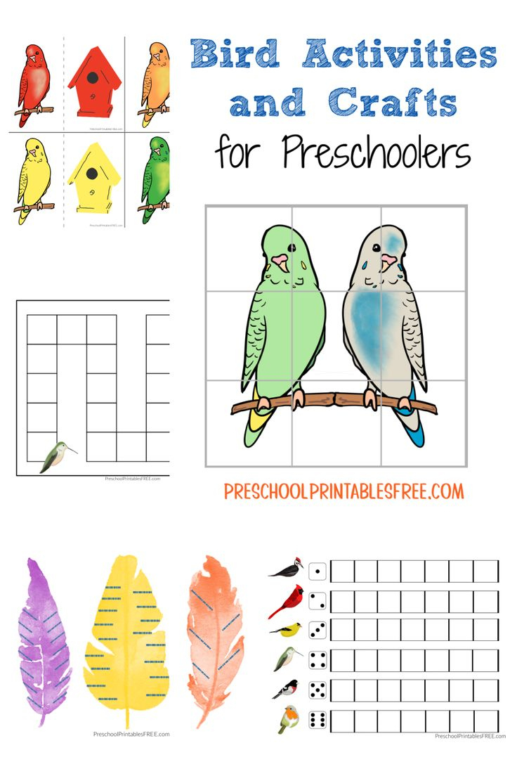 Preschool Bird Activities within Preschool Bird Theme Printables