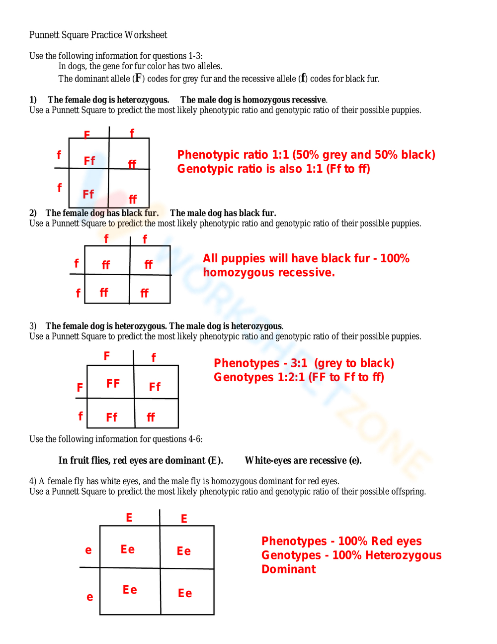 Printable Grade 9 Punnett Square Practice Worksheets with Printable Punnett Square Practice Worksheet