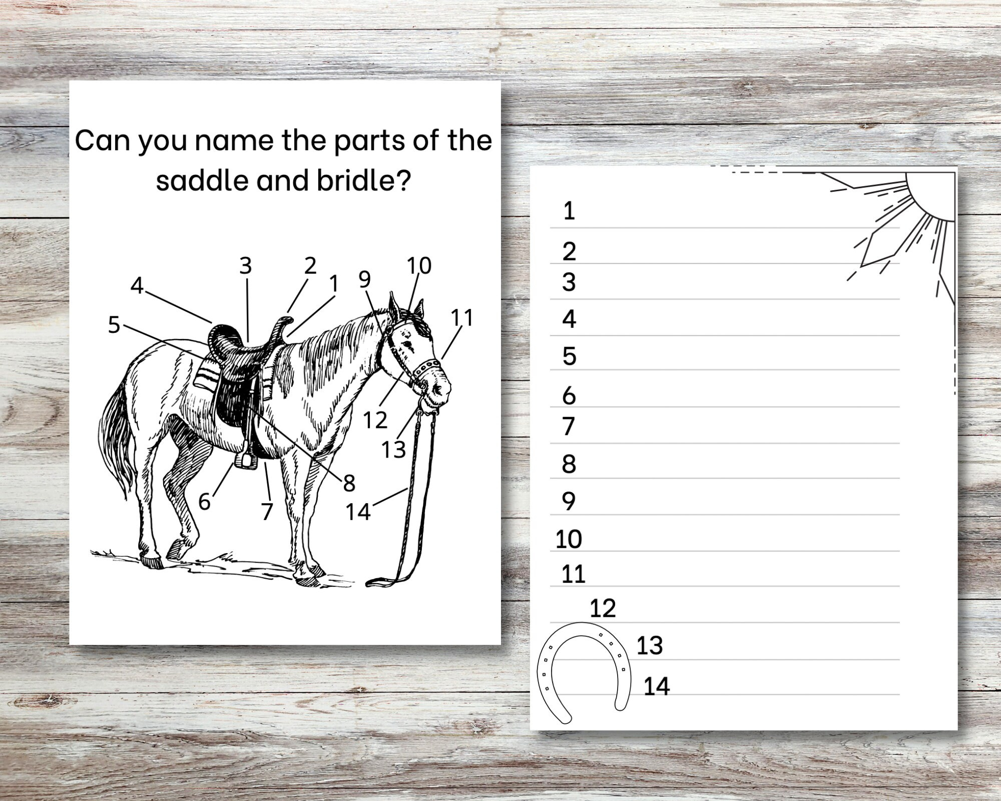 Printable Horse Camp Activity Book For Kids | Equestrian Coloring with regard to Pony Camp Horse Worksheets Printable