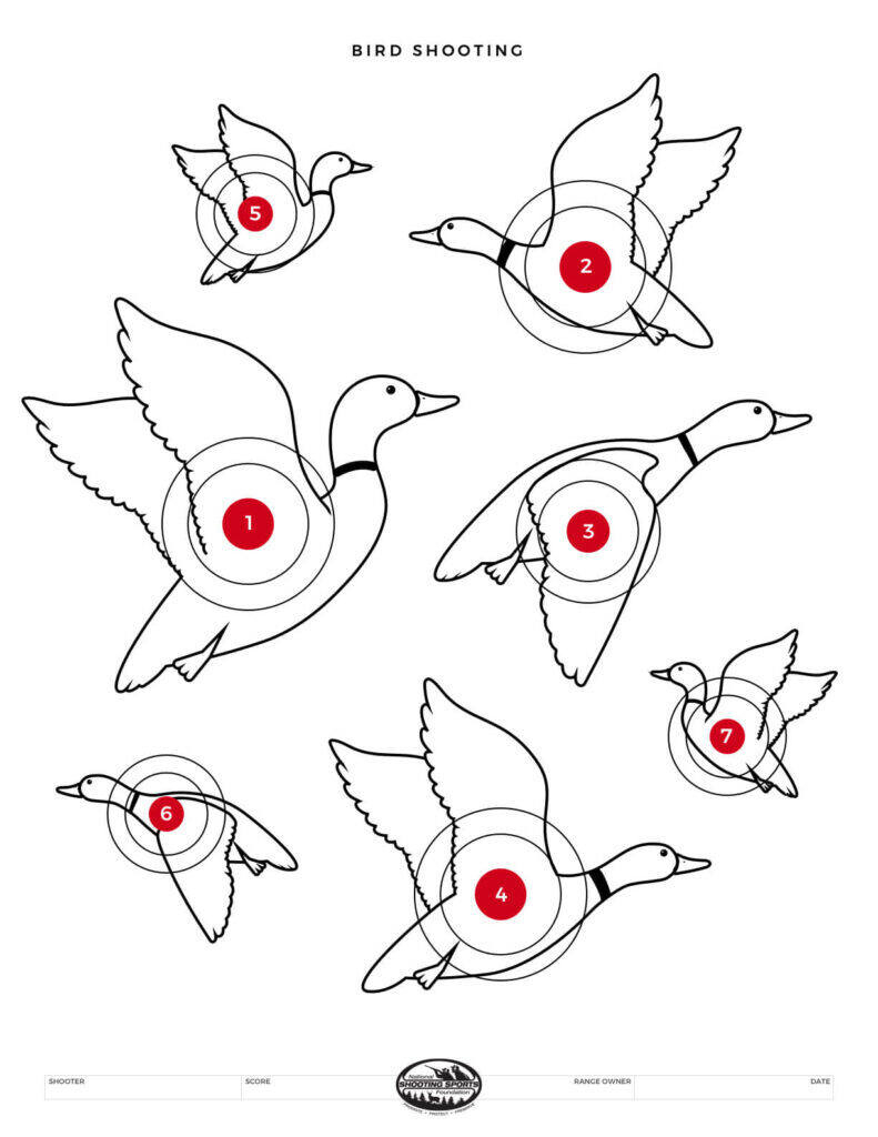 Printable Shooting Targets And Gun Targets • Nssf for Free Rifle Targets Printable
