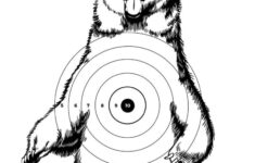 Printable Shooting Targets And Gun Targets • Nssf for Printable Rifle Targets Free
