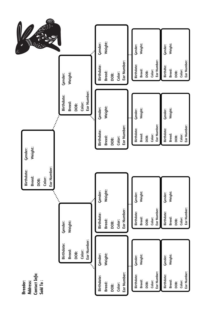Rabbit Pedigree Forms regarding Free Printable Rabbit Pedigree Template