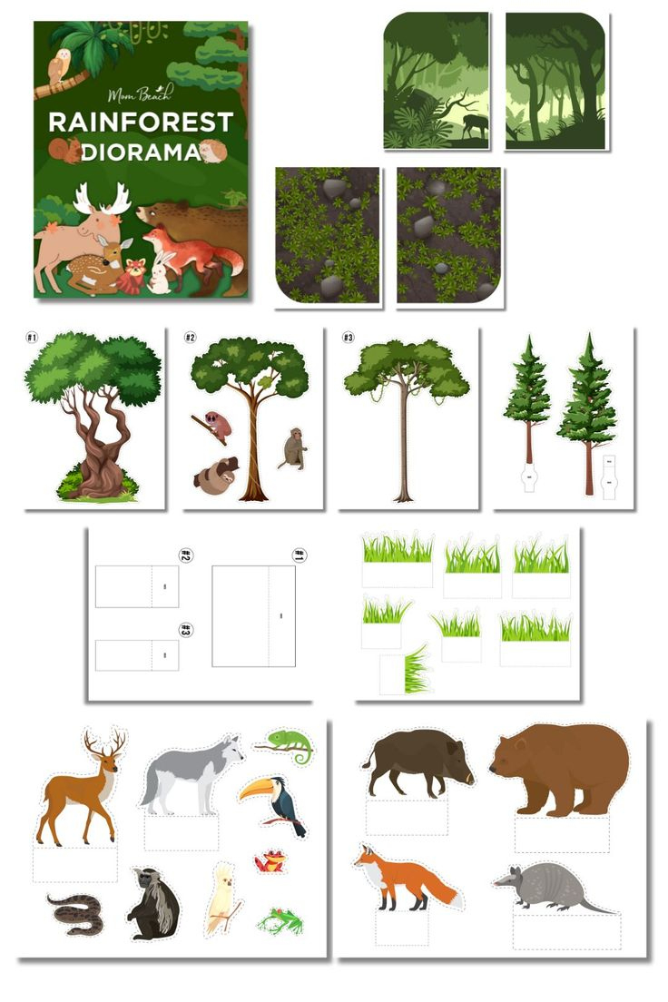 Rainforest Diorama Kid&amp;#039;S Printable (12 Pages) for Free Printable Rainforest Diorama Printables