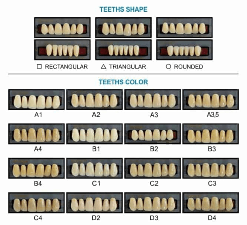 Teeth Shape And Teeth Color Chart Download Printable Pdf with Printable Tooth Shade Chart