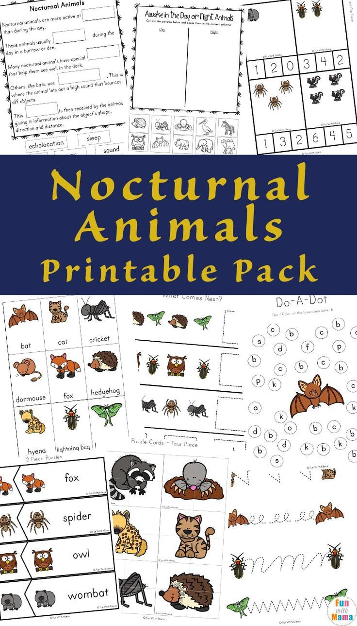 Your Kids Will Enjoy This Nocturnal Animals Printable Pack inside Free Printable Nocturnal And Diurnal Animals Worksheets